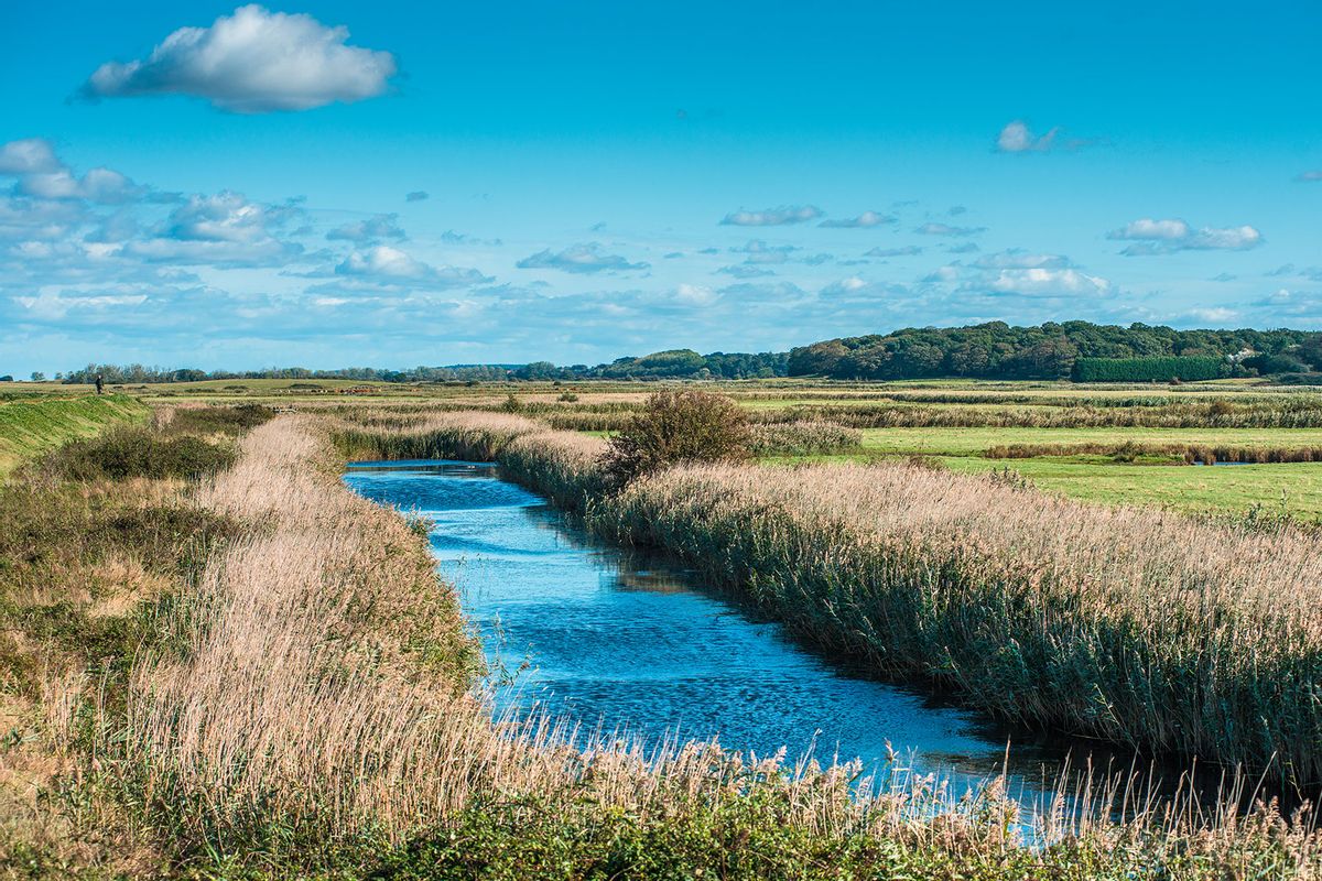 Views of waterway surrounded by reeds, from Norfolk Coast path National Trail near Burnham Overy Staithe, East Anglia, England, UK. (Getty Images/Andrew Michael/Universal Images Group)